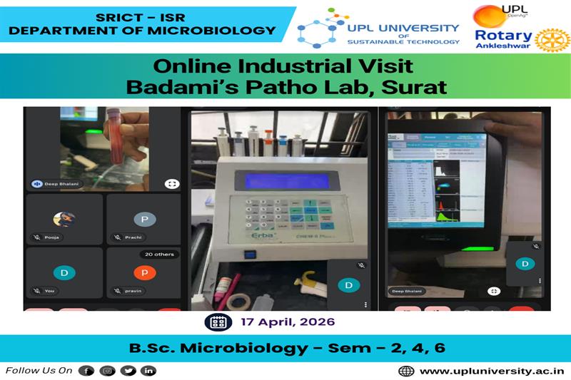 ONLINE IV
